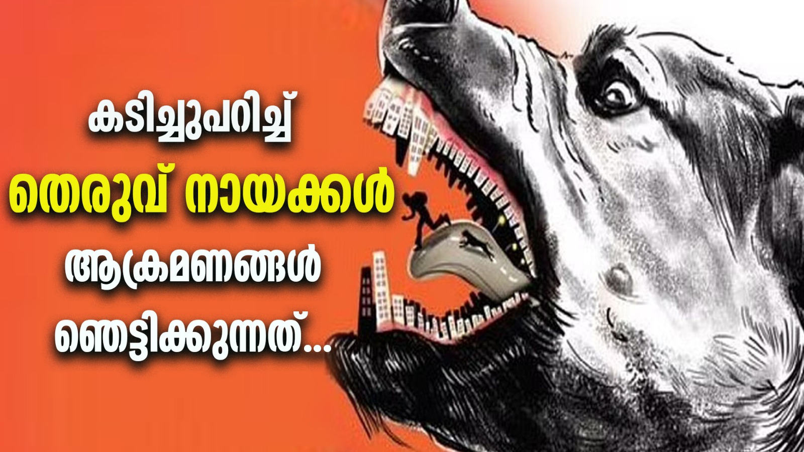 കടിച്ചു പറിച്ചു തെരുവ് നായ്ക്കൾ