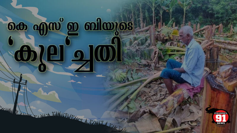 കർഷകന്റെ കണ്ണീര് വീഴ്‌ത്തിയ വാഴകൾ