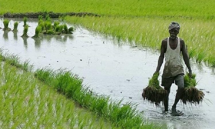 കർഷക ക്ഷേമനിധി ബോർഡ്‌ ; ഒരു വർഷം അഞ്ചുലക്ഷം പേരെ അംഗങ്ങളാക്കും