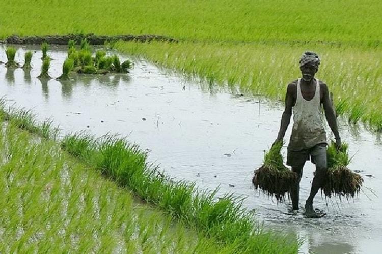 കർഷക ക്ഷേമനിധി ബോർഡ്‌ ; ഒരു വർഷം അഞ്ചുലക്ഷം പേരെ അംഗങ്ങളാക്കും