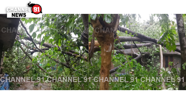 കനത്ത കാറ്റ് അന്നമനടയിൽ നാശനഷ്ടങ്ങൾ. 